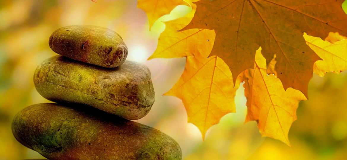 Herbst I Vivian Ansuhenne