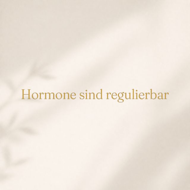 D635E19E-11EA-4E29-879A-7BBA204BD733